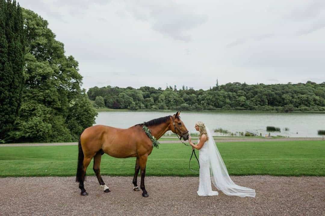 bridal bolsa for horses