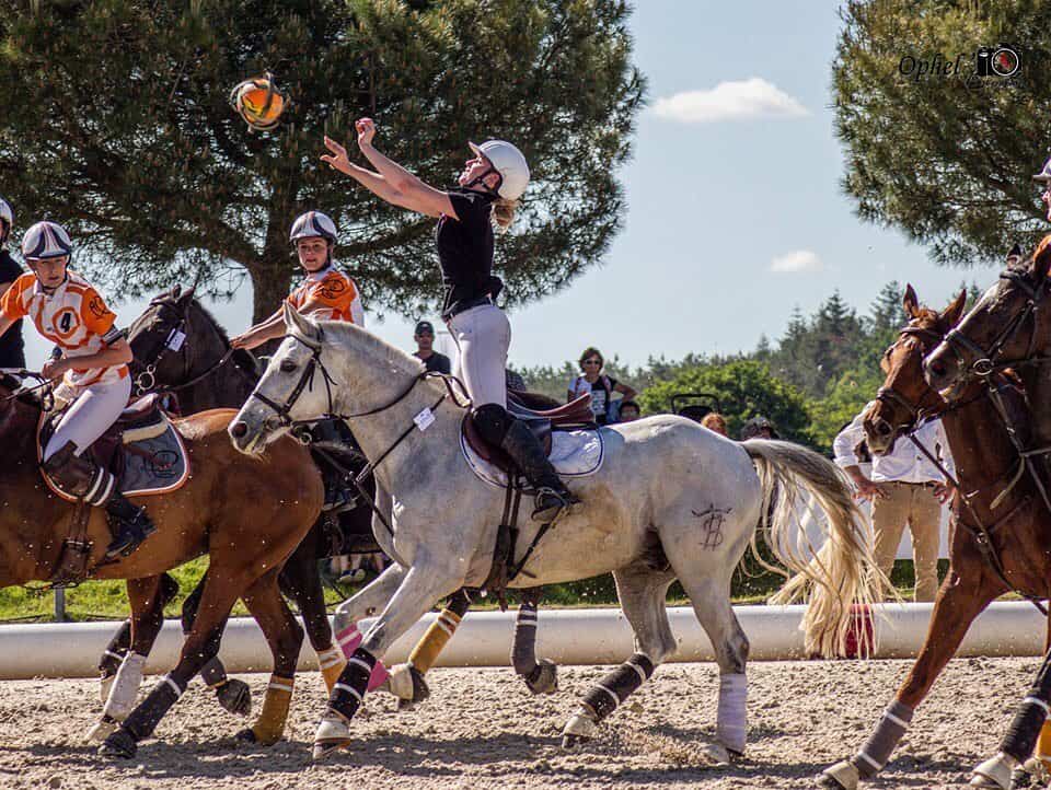 7 Unusual Equestrian Sports You've Never Seen Before Seriously Equestrian