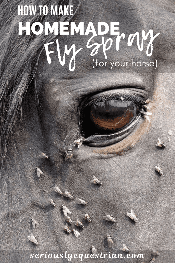make homemade fly spray for your horse