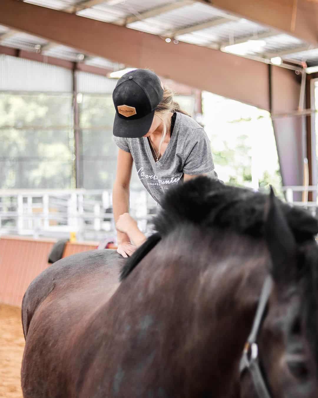 The Benefits of Chiropractic Care for Your Horse Seriously Equestrian