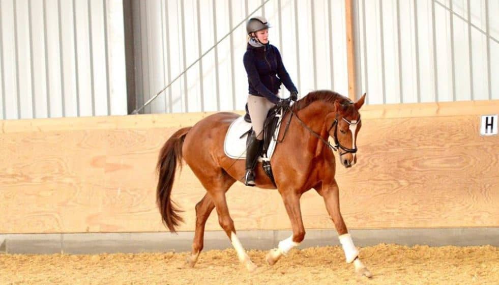 7-ways-to-improve-your-sitting-trot-seriously-equestrian