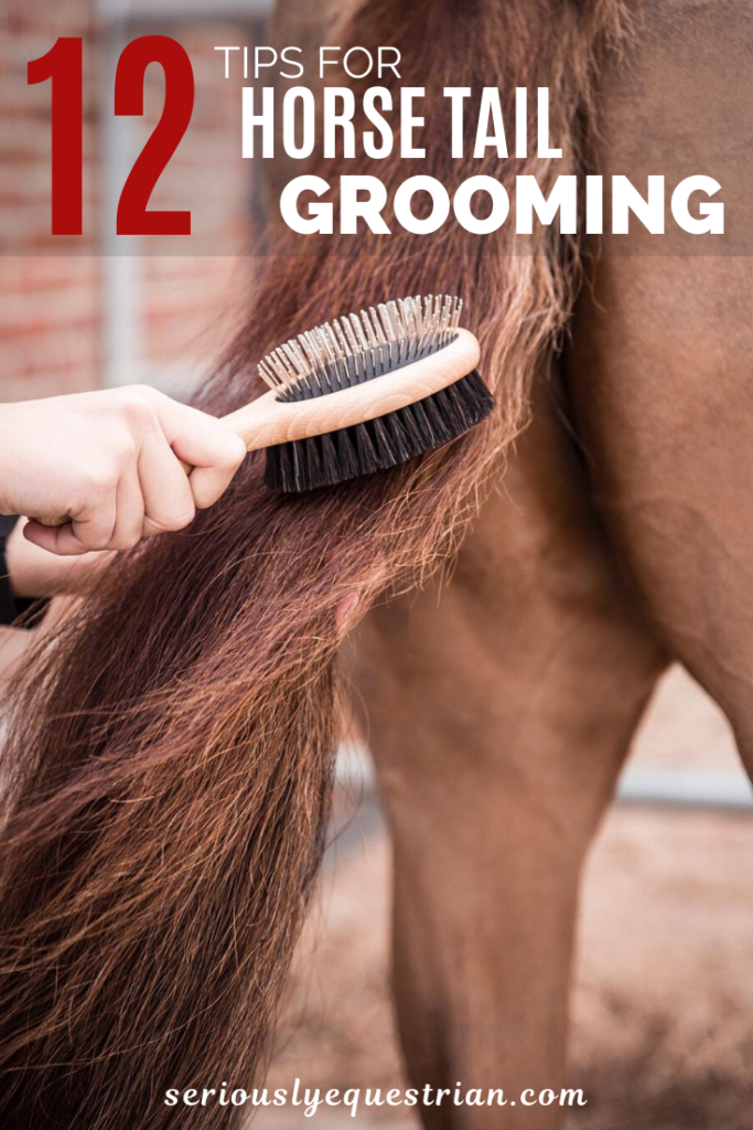 12 Tips for Horse Tail Grooming Seriously Equestrian