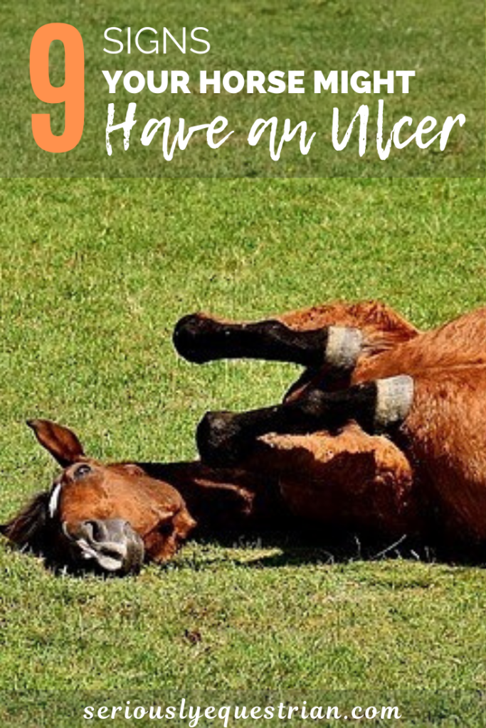 9 Signs That Your Horse Might Have An Ulcer Seriously Equestrian