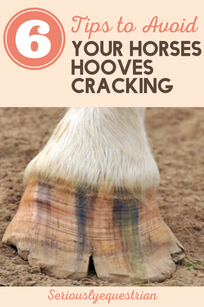 6 Tips to Avoid your Horses Hooves Cracking Seriously Equestrian