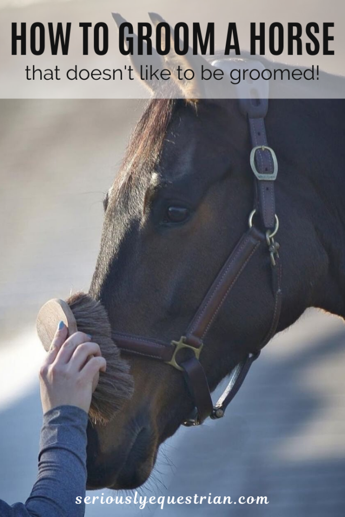 8 tips for Grooming a Horse (that doesn't want to be groomed) Seriously Equestrian