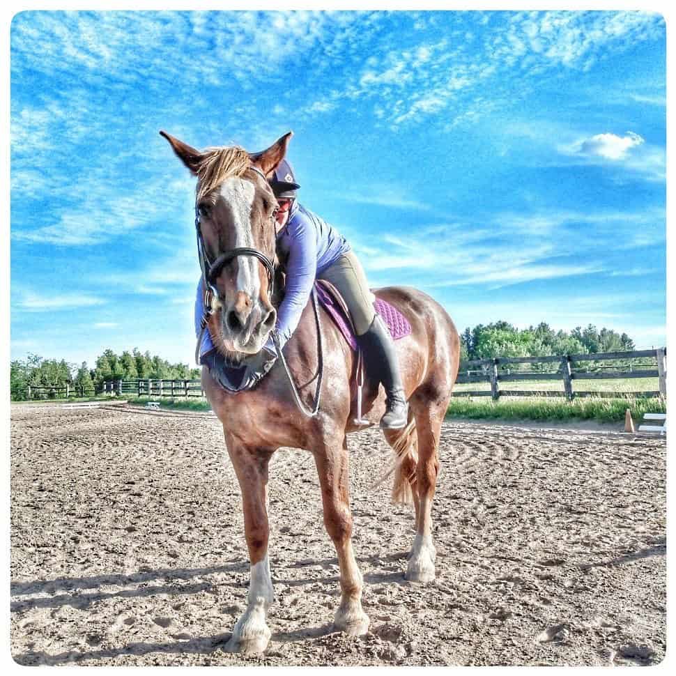 Tips to ensure your senior horse lives their best possible life