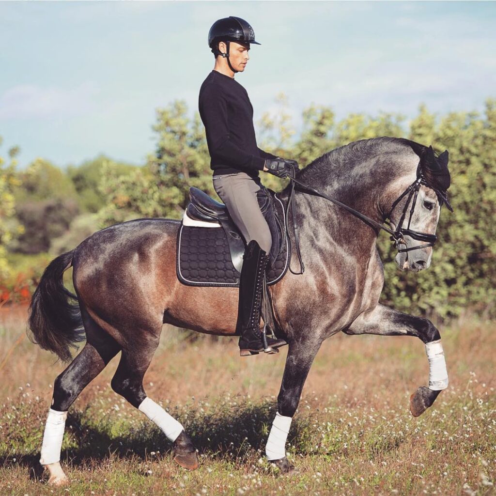 Matt Harnacke The Top Equestrian Infuencer in the World Seriously