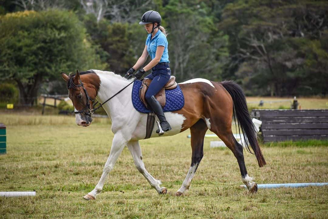Getting your horse on the bit Seriously Equestrian