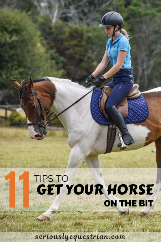 Getting your horse on the bit - Seriously Equestrian