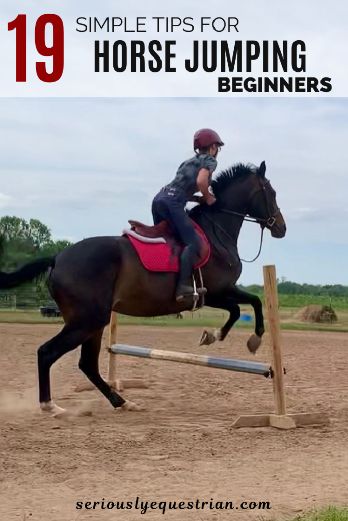 beginners horses reiten seriouslyequestrian