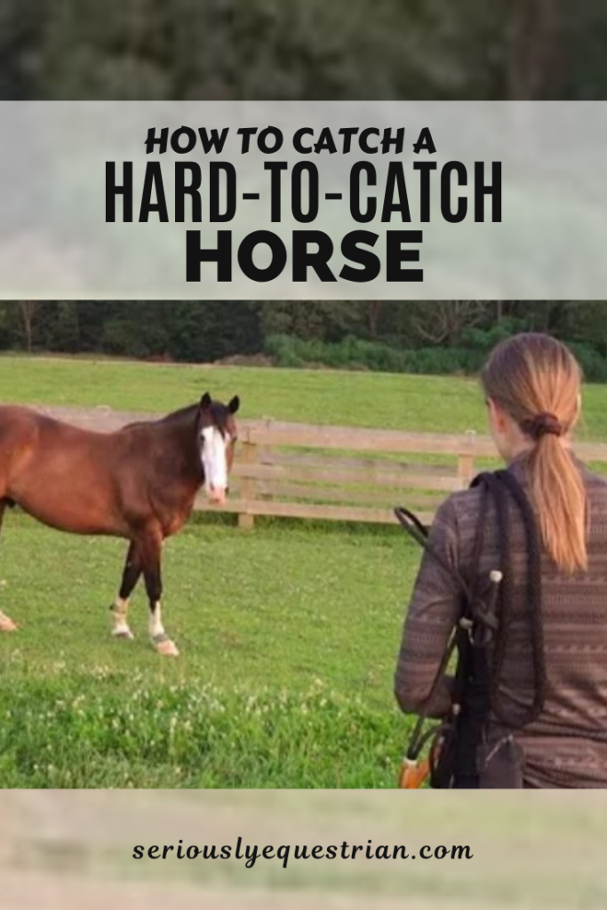 How to Catch a HardtoCatch Horse Seriously Equestrian