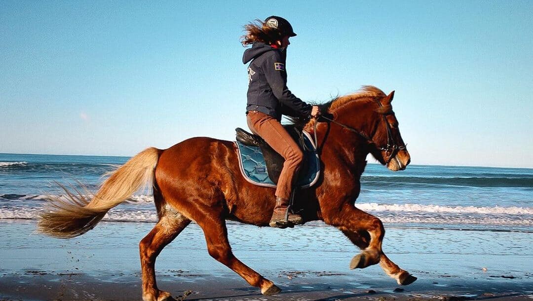 6-tips-to-help-you-gallop-safely-seriously-equestrian