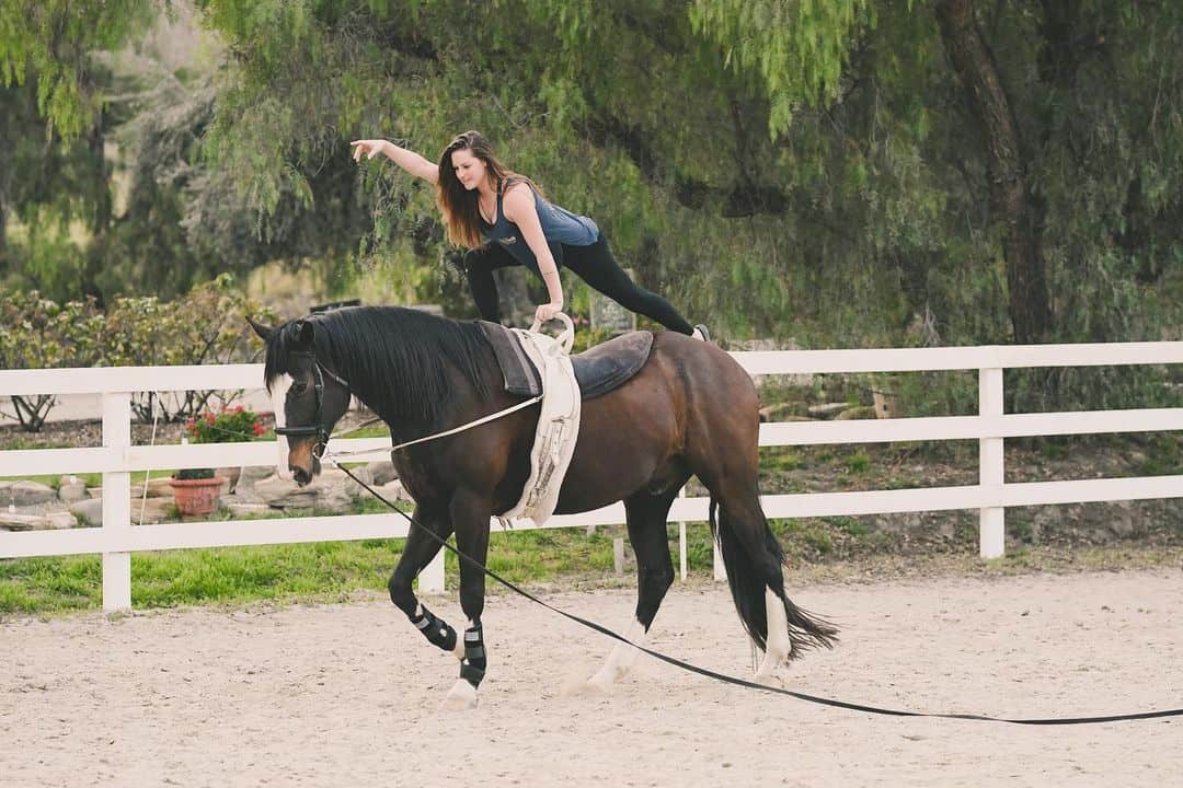 Horse Vaulting The Most Spectacular Equestrian Sport? Seriously Equestrian