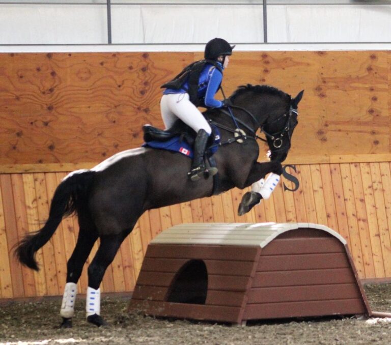 5 Best Horse Riding Body Protectors Reviewed Seriously Equestrian